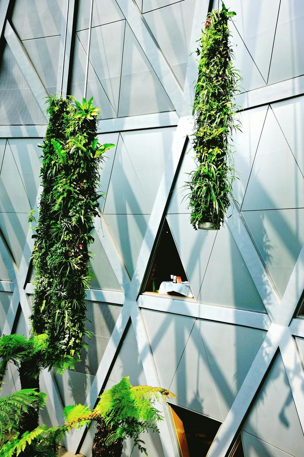 Sustainable Innovation